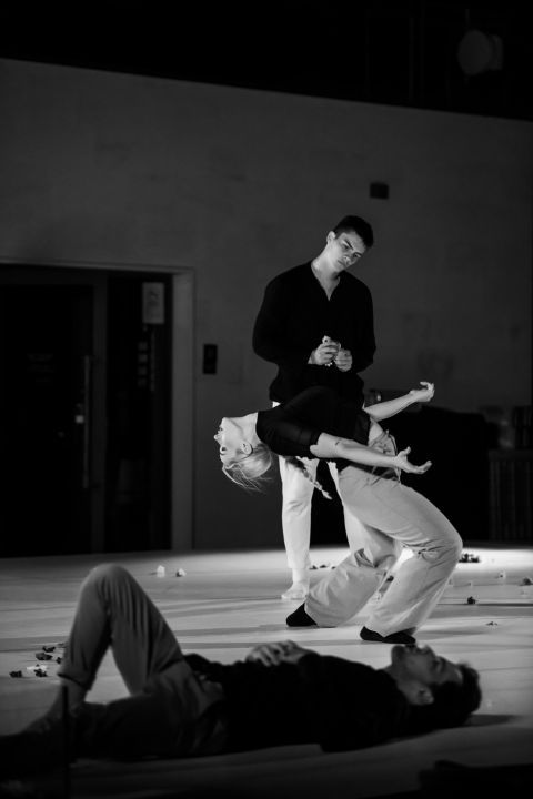 11. Šibenik Dance Festival završio pogledom u budućnost hrvatske plesne umjetnosti 