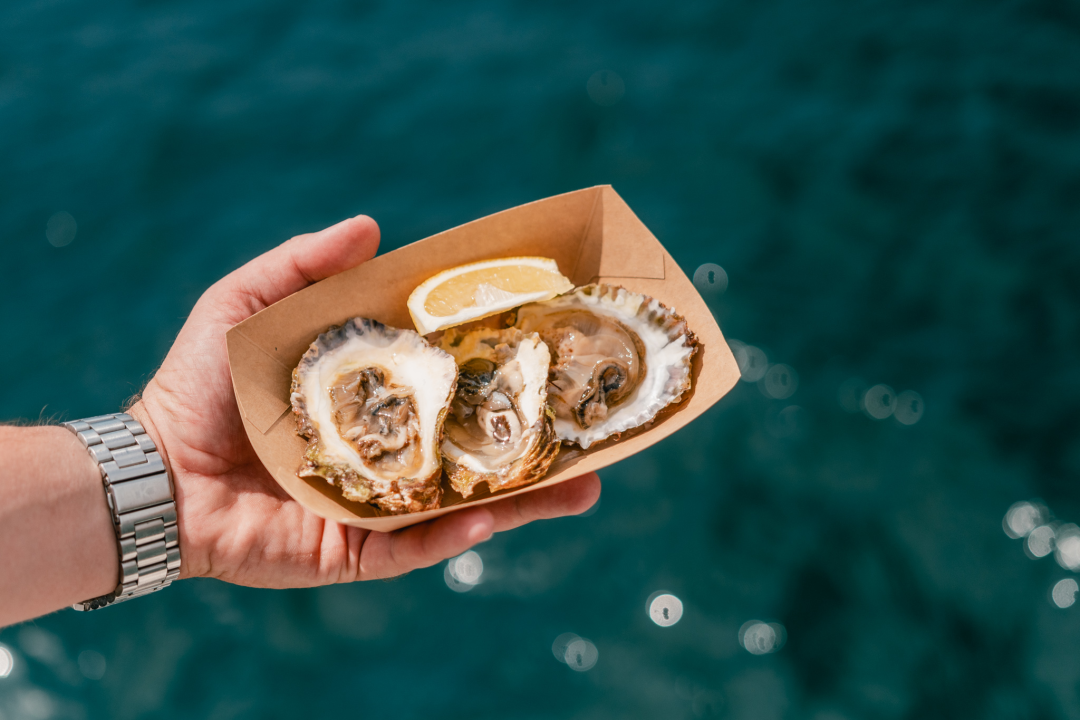 Posjetite novootvorenu kušaonicu školjaka i vina Oyster22! 