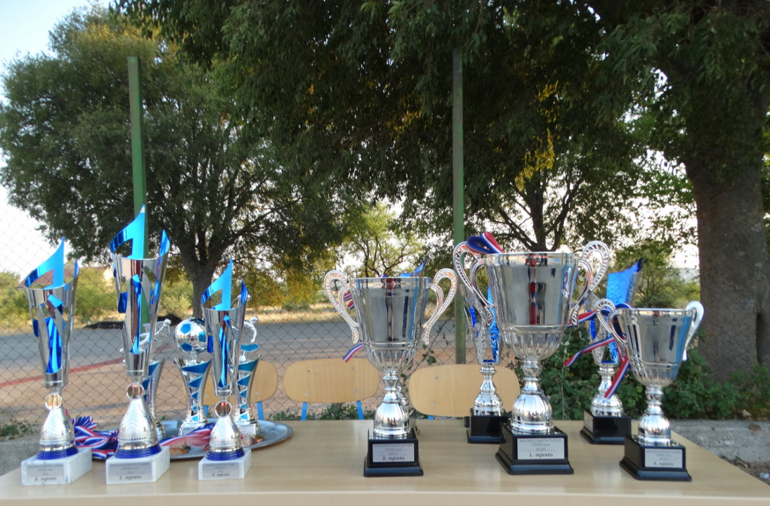 Young Boys graditeljstvo Ilić pobjednici turnira 'Lišane 2022.'