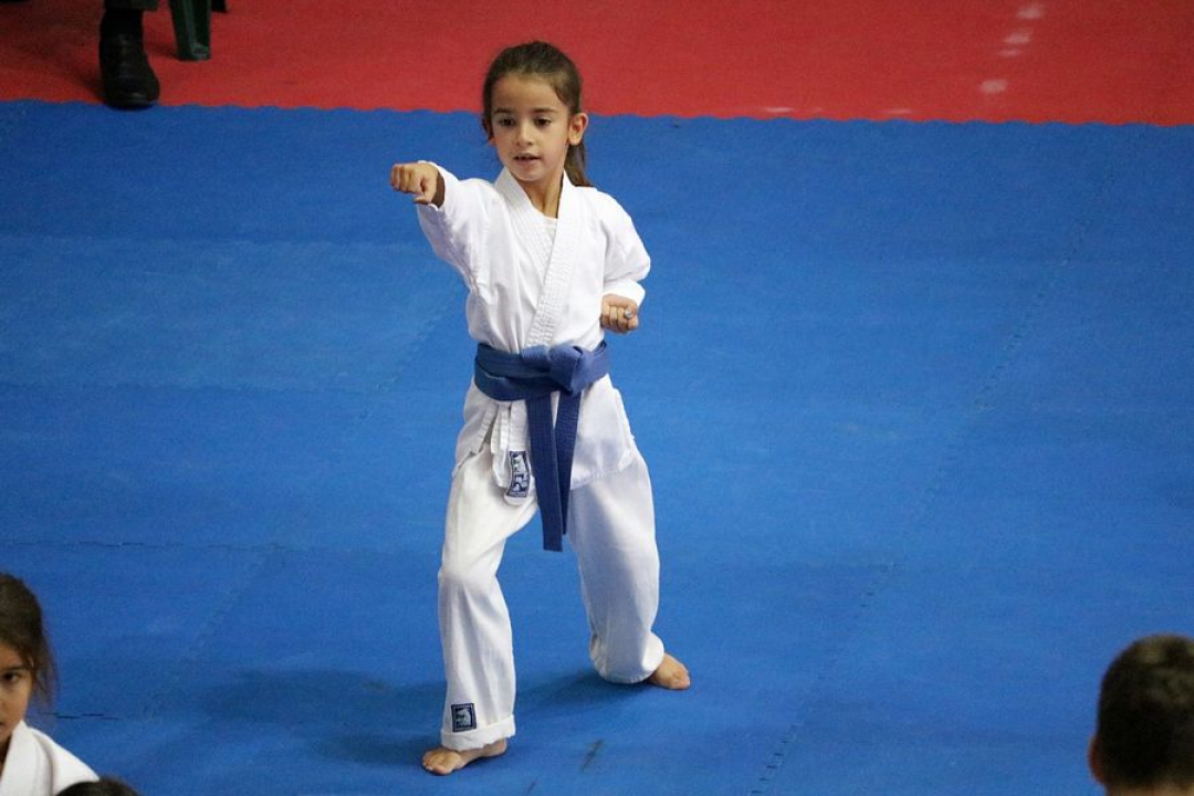 Karate poslastica na Baldekinu: Gotovo 500 natjecatelja, podignuta ljestvica kvalitete 