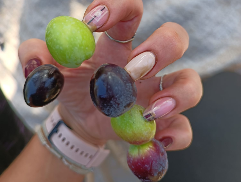 Šibenčanka predstavila novu metodu: S dugim noktima se može sve, pa i brati masline