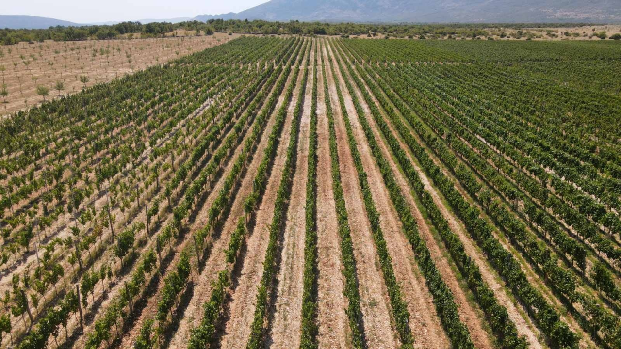 Knin je doživio turistički rast: Sve više posjetitelja otkriva njegove čari