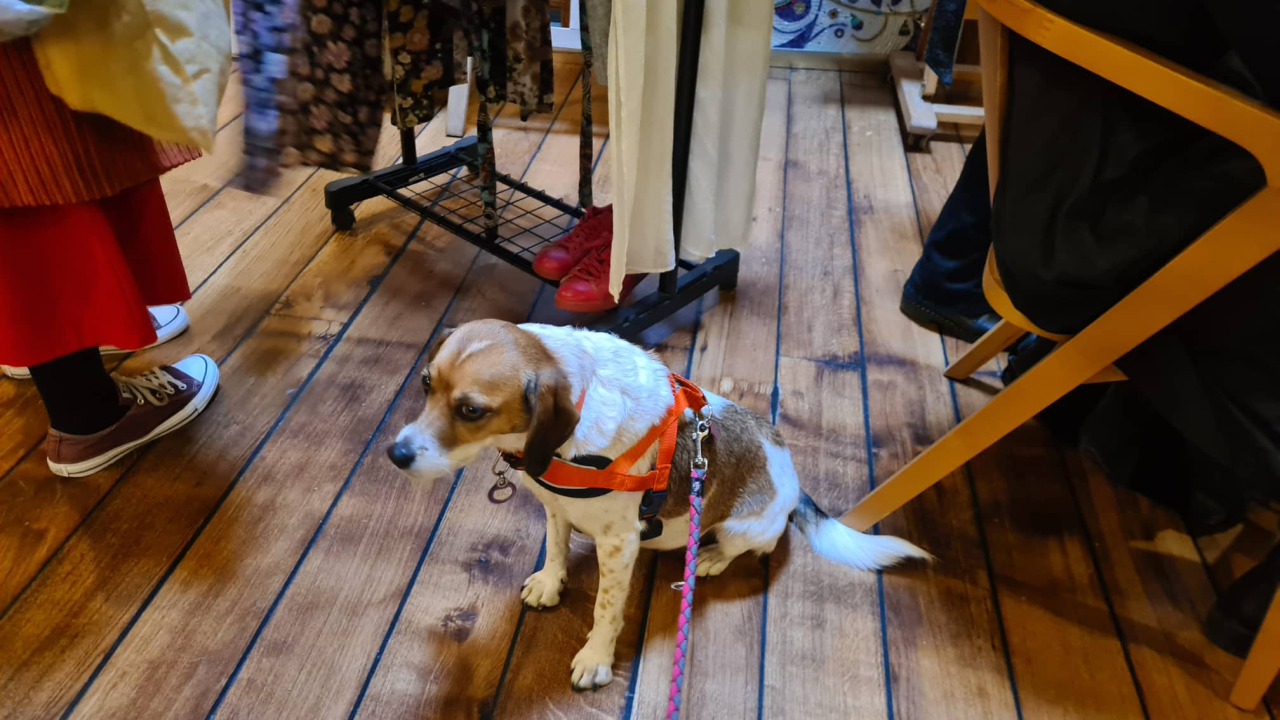 Dobar interes: Buvljak u Azimutu preselio se u toplu galeriju