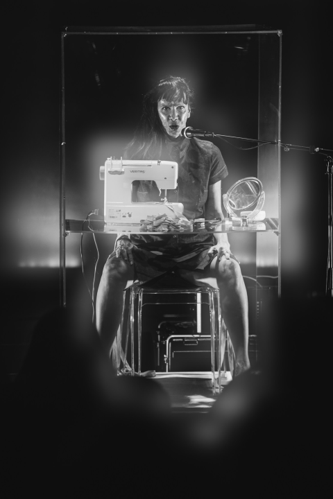 'Ljubavnice': Predstava Senke Bulić izazvala veliki interes Šibenčana