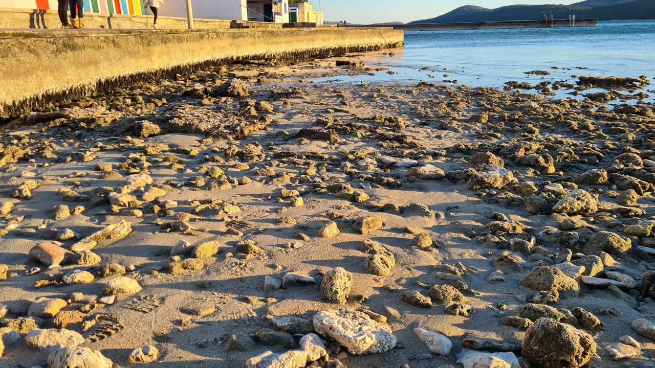 Prizor koji ne viđamo svaki dan: Velika oseka na Jadriji