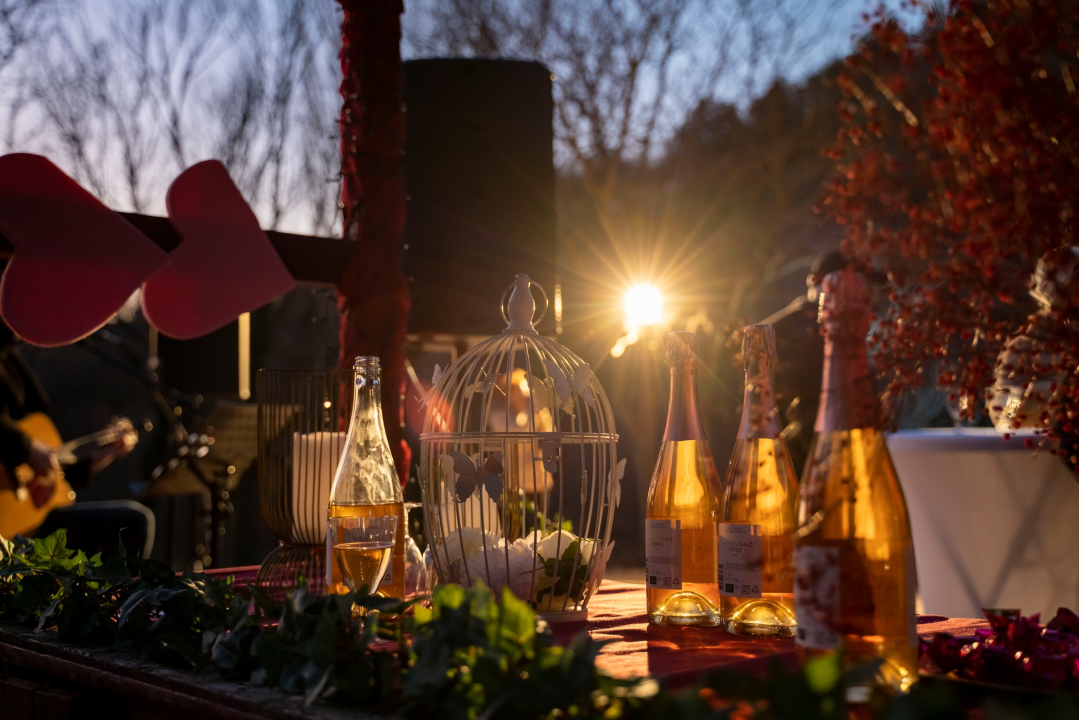 Valentinovo na Krčiću oduševilo sve posjetitelje: Krčić zasjao u bojama ljubavi! 