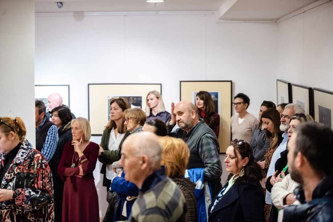 U knjižnici otvorena izložba koju ljubitelji mačaka ne smiju propustiti