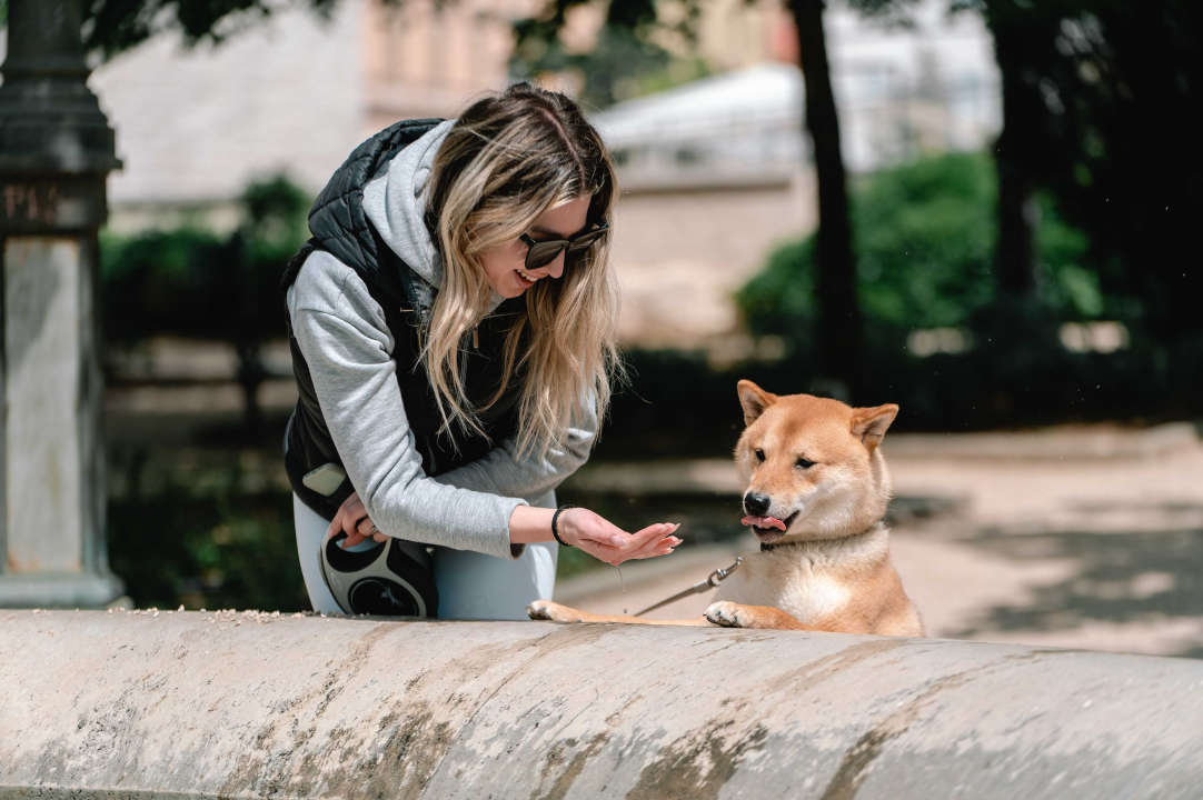 FOTO Đir po gradu, nedjelja 30. travnja