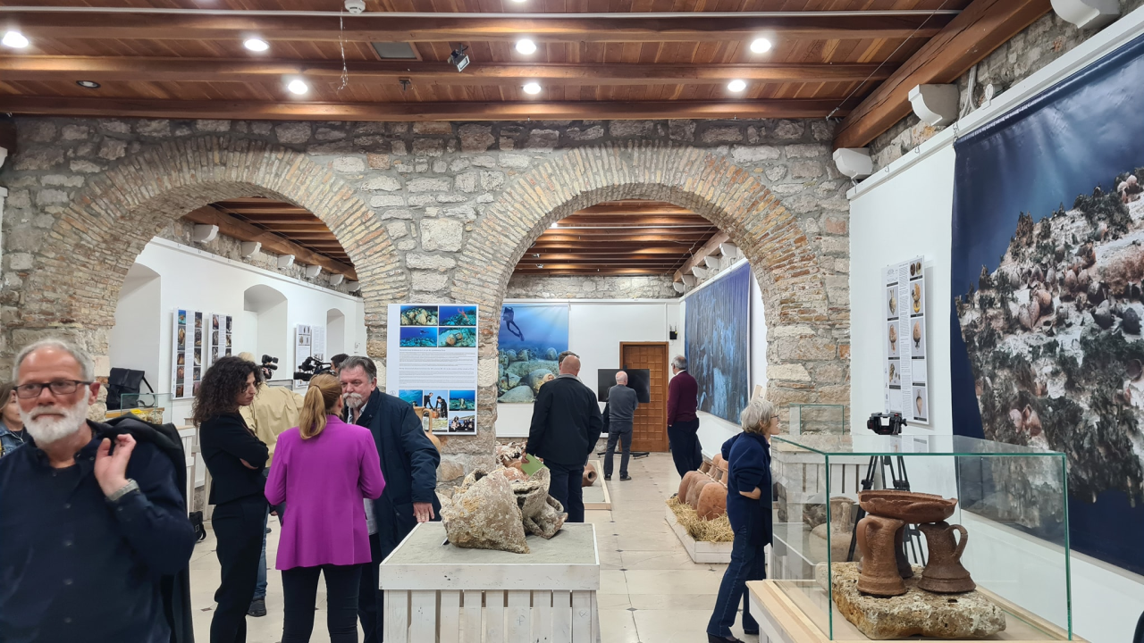 U muzeju otvorena izložba o brodolomu kod otoka Žirja