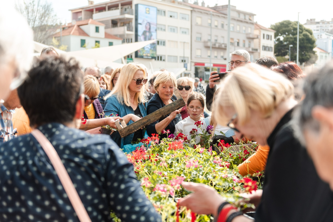 Stotinjak građana utjehu našlo u điranima: 'Vidi ove, cili je vrt natrpala!'