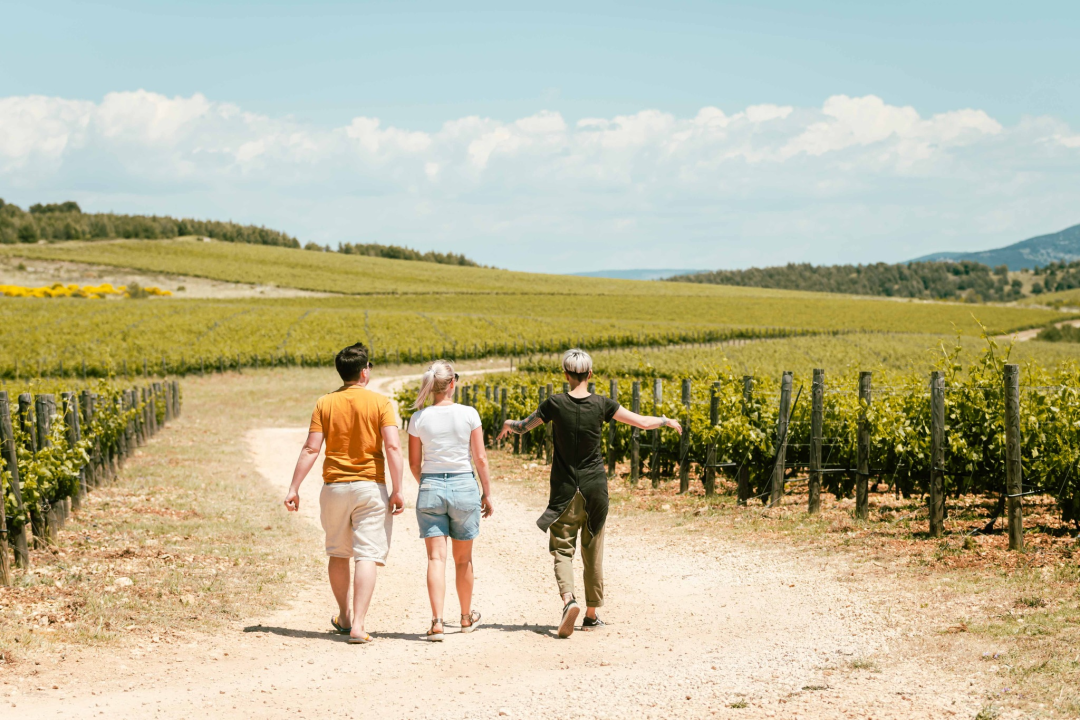 Vikend rezervirajte za turu po vinarijama i kušanje vrhunskih lokalnih vina!