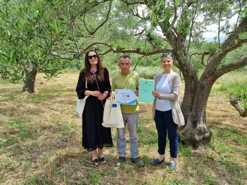 Maslinar Nikica Roško: 'Ovo više nije težak zanat, tehnologija je olakšala, nedostaje samo strpljenja' 