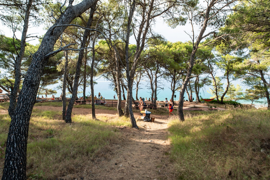 Zbog ove fotogalerije pokajat ćete se što niste otišli na Zlarin Street Music Festival!