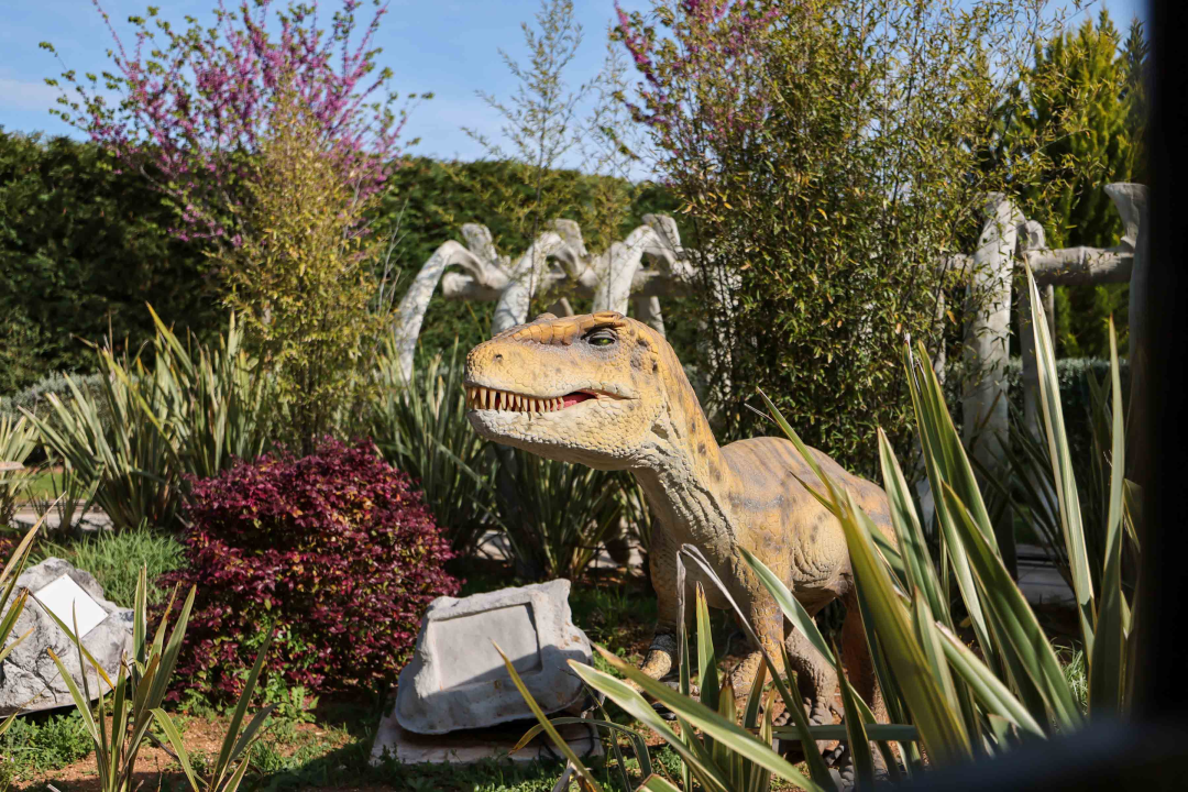 Dalmaland Fun park sprema veliki rođendanski party! 