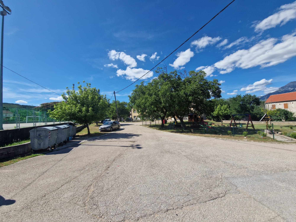 Volonteri kninske udruge ostavili 20 vreća životinjskog otpada u centru Kijeva