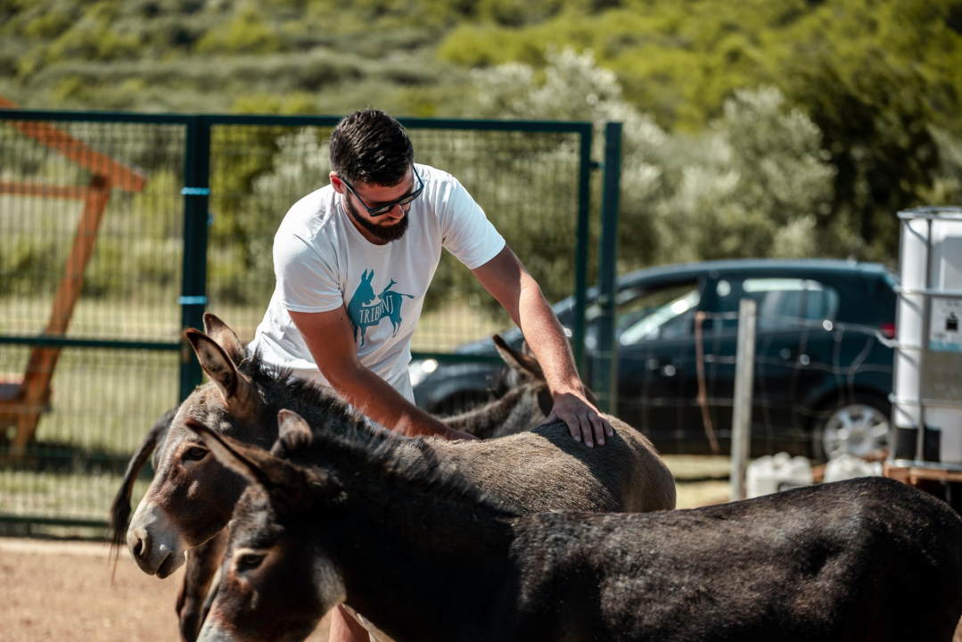 Za magarce na farmi 'Ćušin raj' brine se cilo misto: 'Mještani donose hranu, a djeca zaborave na mobitele'