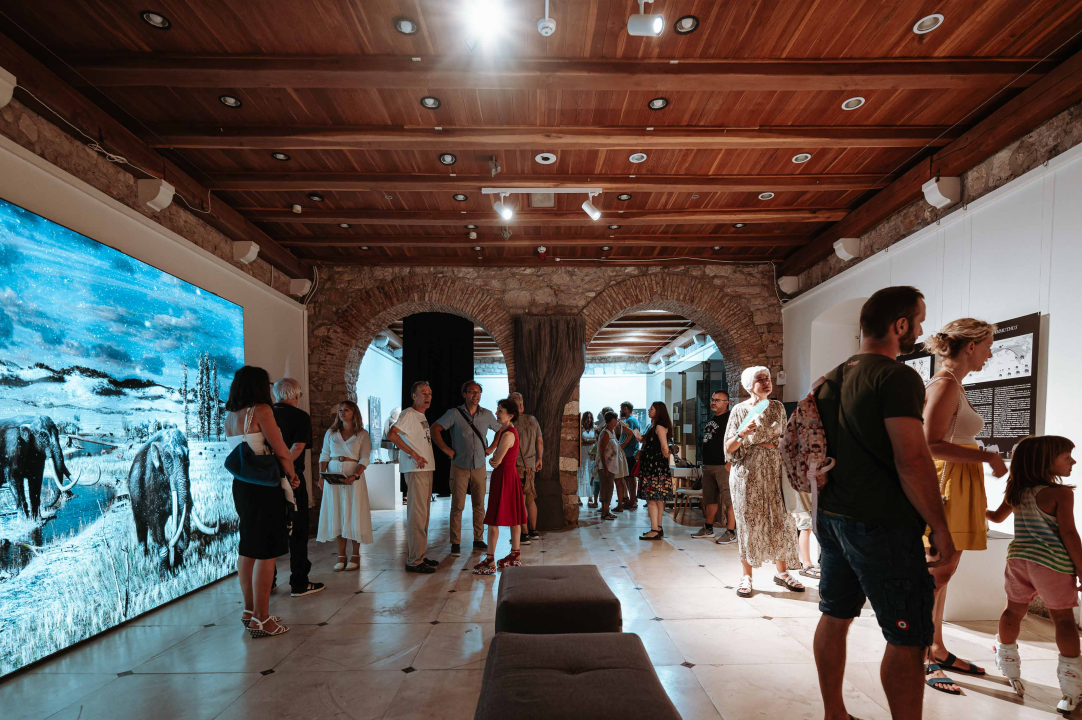 U Muzej ‘stigao’ stepski mamut iz Slavonskog Broda: ‘I Drniš svog mamuta ima'