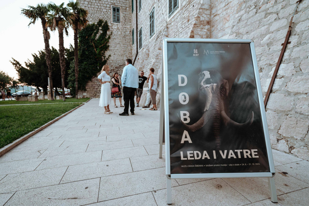 U Muzej ‘stigao’ stepski mamut iz Slavonskog Broda: ‘I Drniš svog mamuta ima'