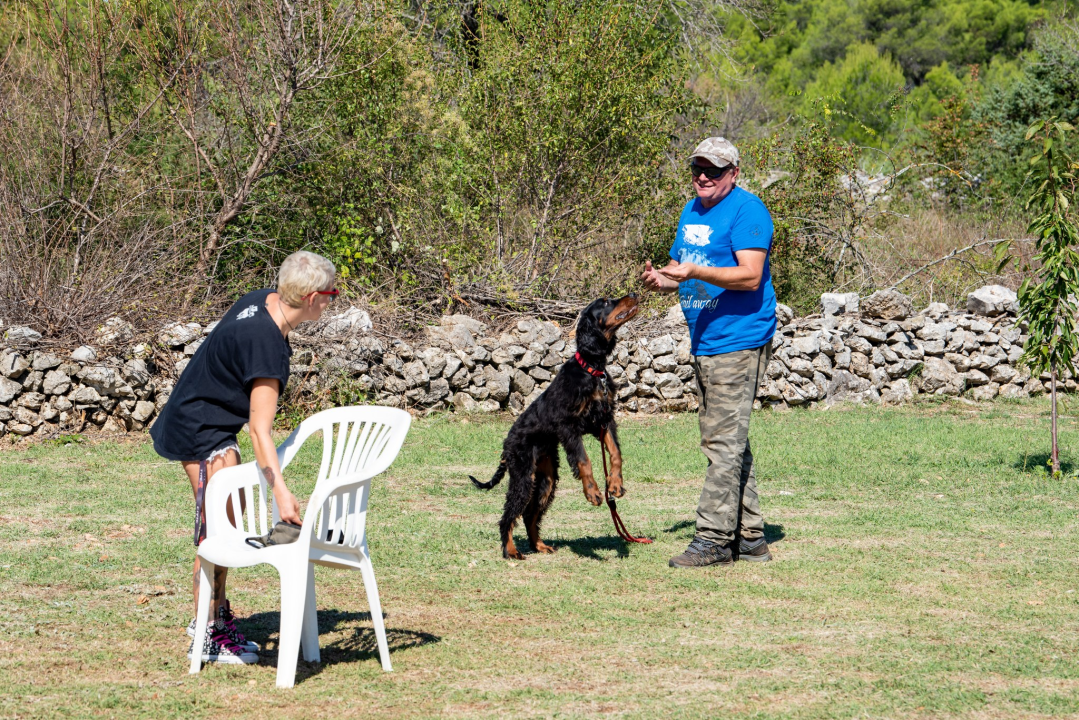 Seminar za ljubitelje pasa održan na Pokrovniku: 'Svaki pas uz puno rada i ljubavi može postati Tigar' 
