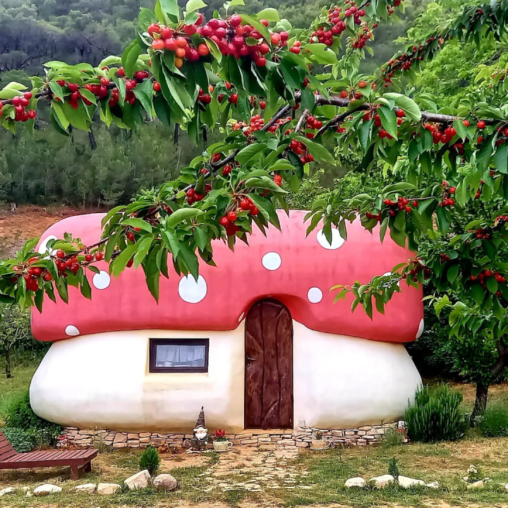 Iz Šibensko-kninske županije prijavljeno sedam projekata za nacionalnu nagradu Suncokret ruralnog turizma