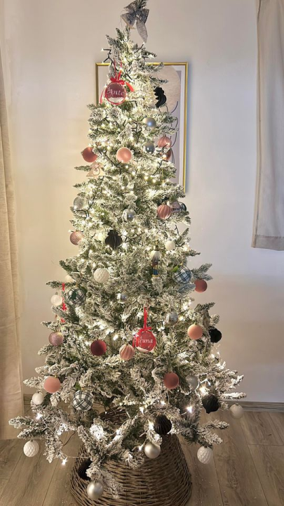 Provjerite tko su pobjednici izbora za naj jelku!