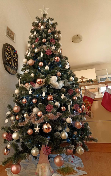 Provjerite tko su pobjednici izbora za naj jelku!