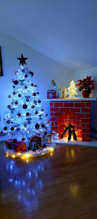 Provjerite tko su pobjednici izbora za naj jelku!