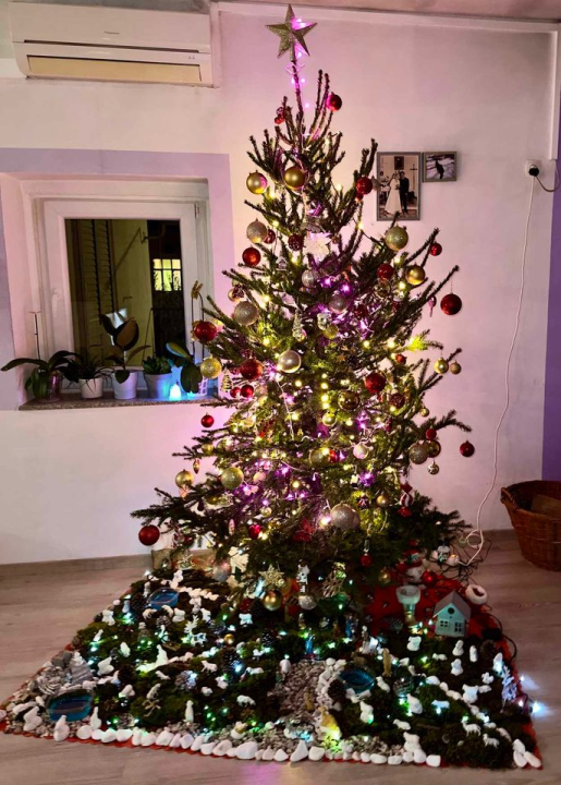 Provjerite tko su pobjednici izbora za naj jelku!