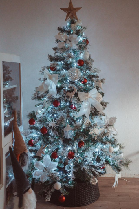 Provjerite tko su pobjednici izbora za naj jelku!