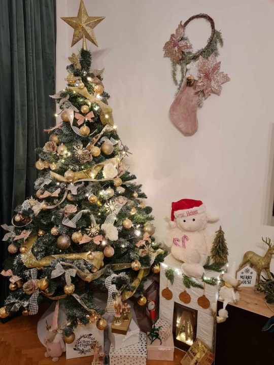 Provjerite tko su pobjednici izbora za naj jelku!