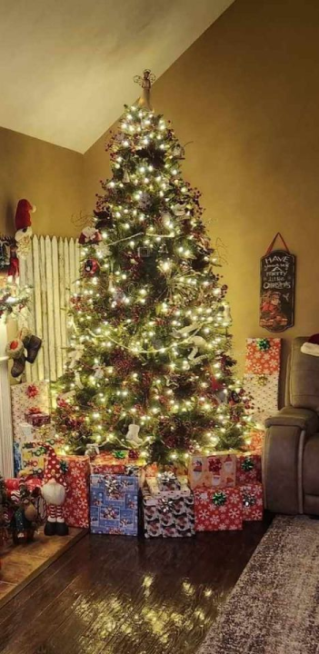 Provjerite tko su pobjednici izbora za naj jelku!