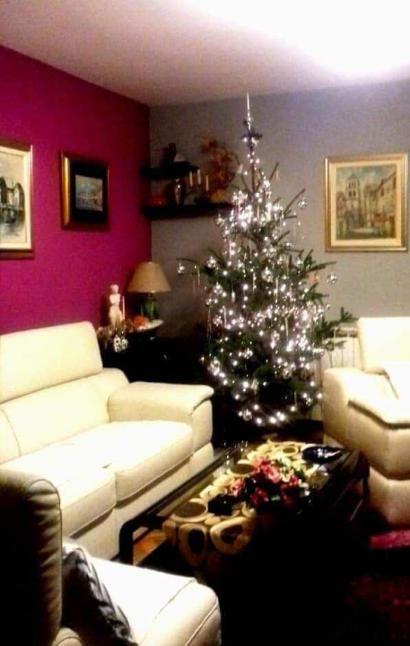 Provjerite tko su pobjednici izbora za naj jelku!