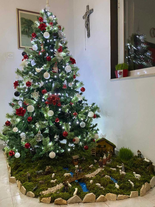 Provjerite tko su pobjednici izbora za naj jelku!