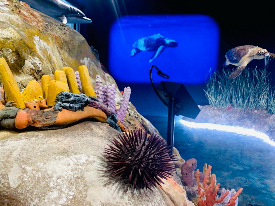 Turistički djelatnici i predstavnici agencija obišli Posjetiteljski centar 'Kanal sv. Ante'