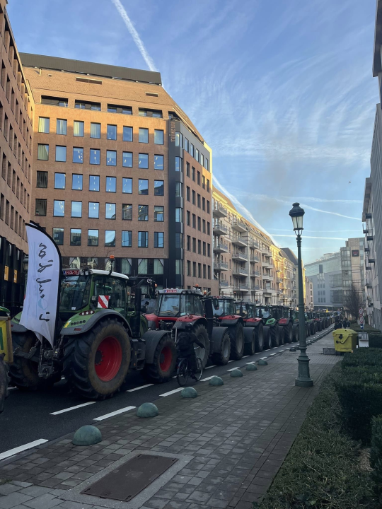 Šibenčanka Jelena Jurić stažira u Bruxellesu: 'Stanovi su skupi, ali cijene hrane i režija niže su nego kod nas'