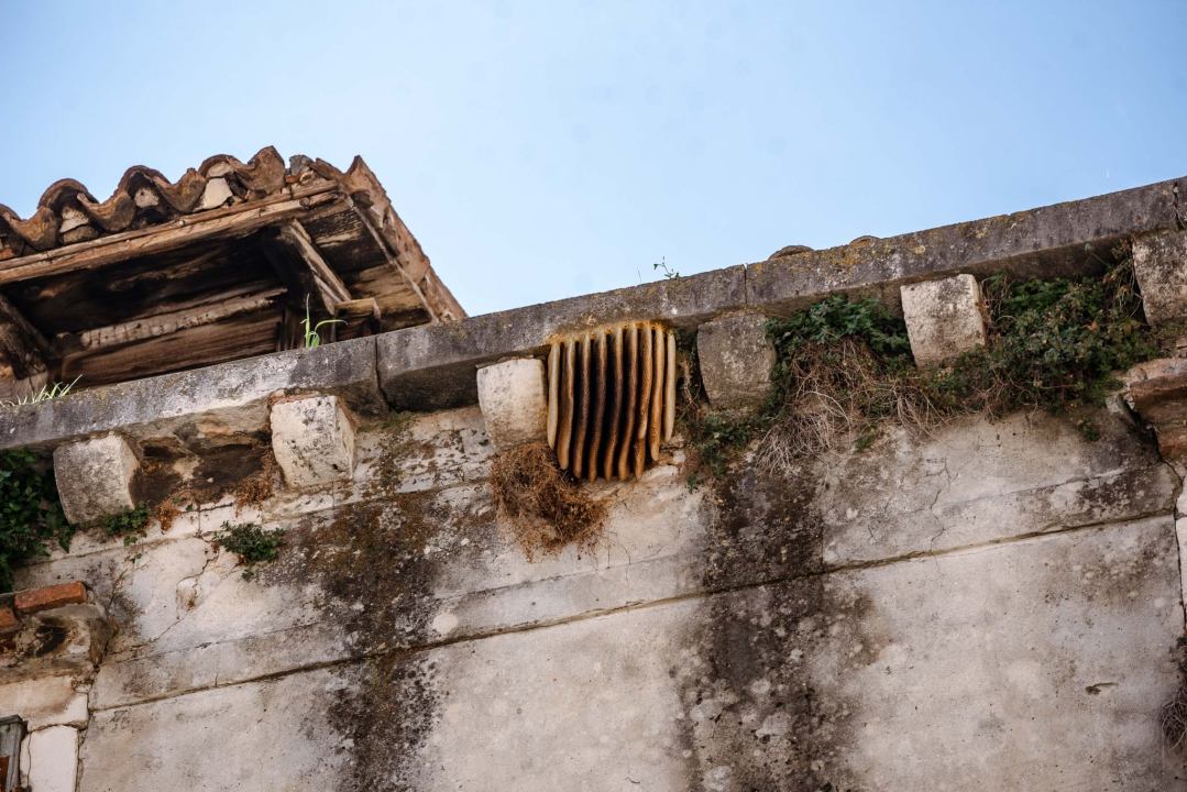 Naišli smo na pčelinjak na Maloj loži i pozvali pčelara: 'Nismo ni svjesni u kakvim ćemo problemima biti'