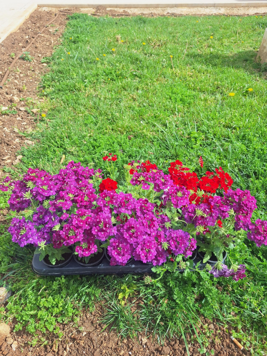 Zeleni grad uređuje Perivoj Luje Maruna