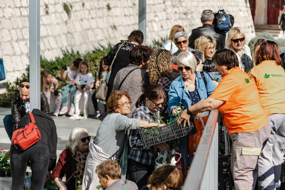 Gužva na Poljani: Šibenčani cvijeće najviše vole kad je besplatno
