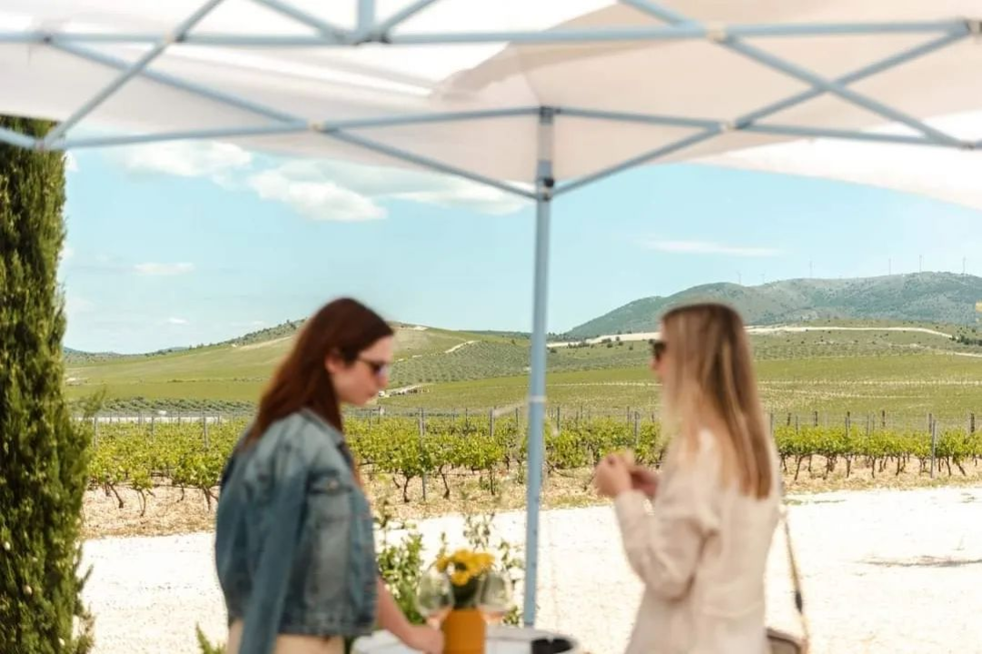 Posjetite lokalne kušaonice vina po čak 50 posto nižim cijenama!