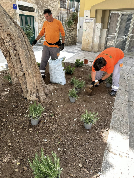 U centru grada uređena nova zelena površina: 'Neka ovo bude poticaj i drugim kvartovima'