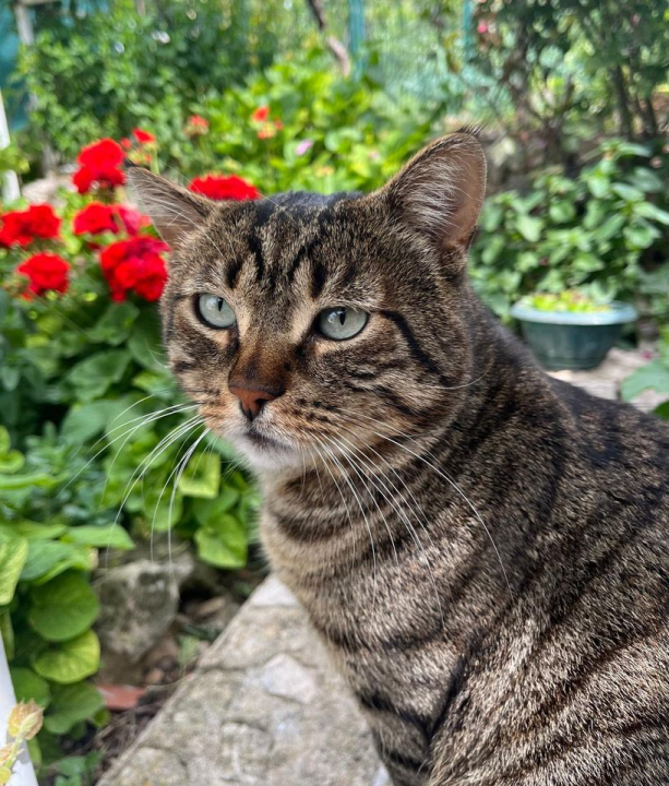 Provjerite tko su naj ljubimci 2024. godine!