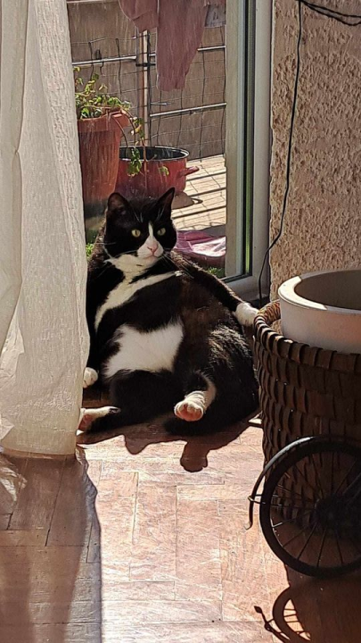 Provjerite tko su naj ljubimci 2024. godine!