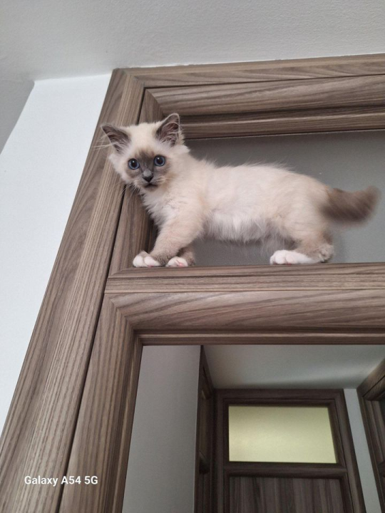 Provjerite tko su naj ljubimci 2024. godine!