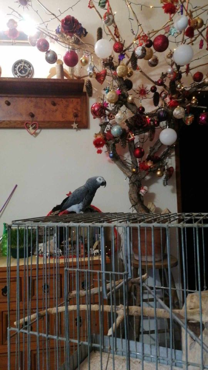 Provjerite tko su naj ljubimci 2024. godine!