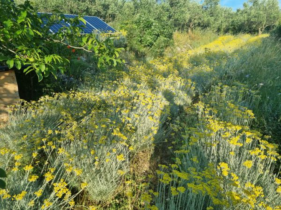 Doris Banić u Dubravicama ima penthouse i hotel, a njezini 'gosti' boravak ne plaćaju