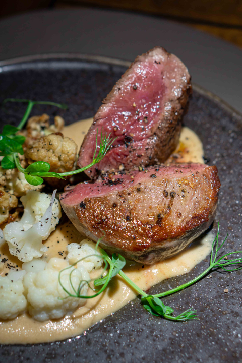 Provedite ugodne večeri na terasi restorana Mlin Montanari uz svirke uživo