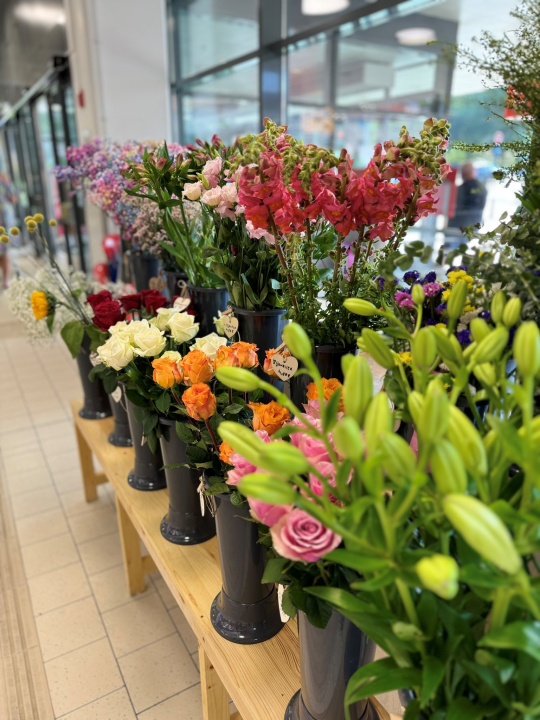 Obradujte svoje najmilije prekrasnim cvjetnim aranžmanima novootvorenog Flower shopa Lu