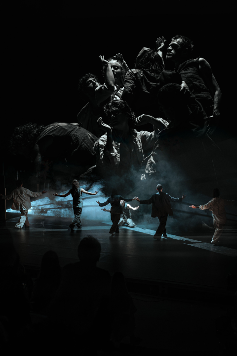 PUPO na sv. Mihovilu: Priča inspirirana Pinocchijom u plesnom remek-djelu talijanskih umjetnika