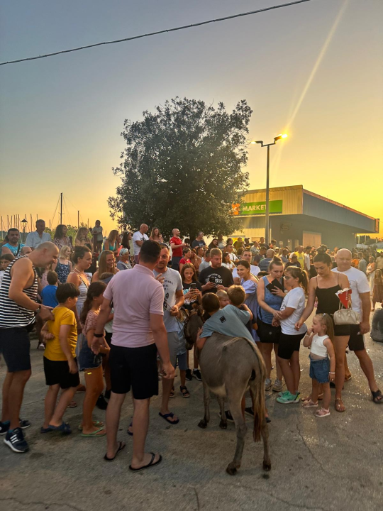 Ante Baus pobjednik trke na tovarima u Pirovcu