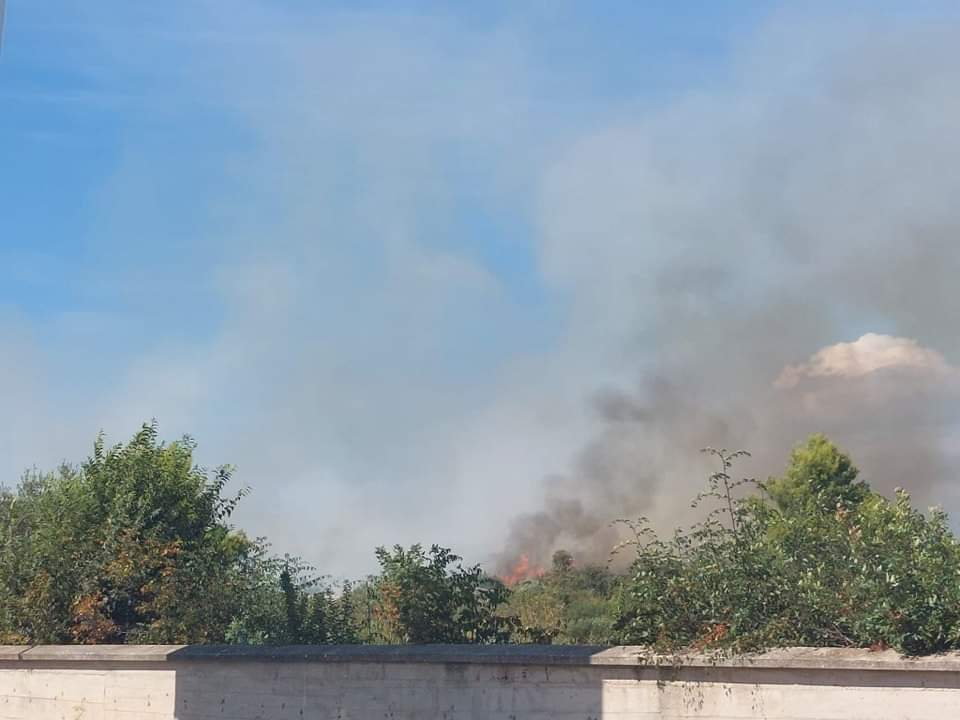 Lokaliziran požar u blizini Vodica, izgorjelo 1,8 hektara trave, niskog raslinja i pokoja maslina